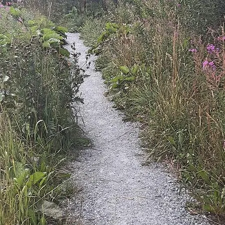 Charming Only 150 Meters From The Lift Appartement Münster